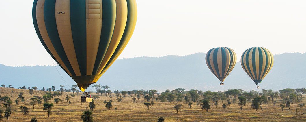 Remote IT Support - Serengeti Balloon Safaris